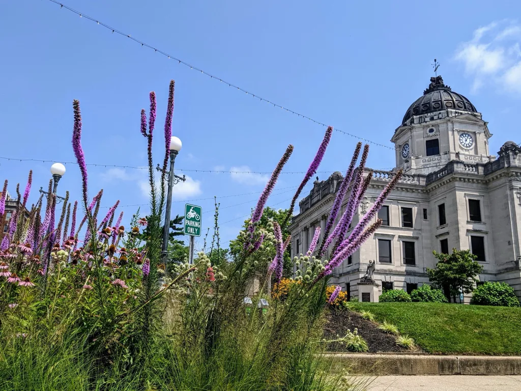 The Monroe County Courthouse's limestone clock tower and dome in downtown Bloomington, seen past purple blazing star and coneflowers on a sunny summer day